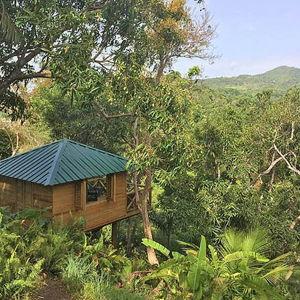 $345 Day 1 Stay in Romantic Rainforest Treehouse