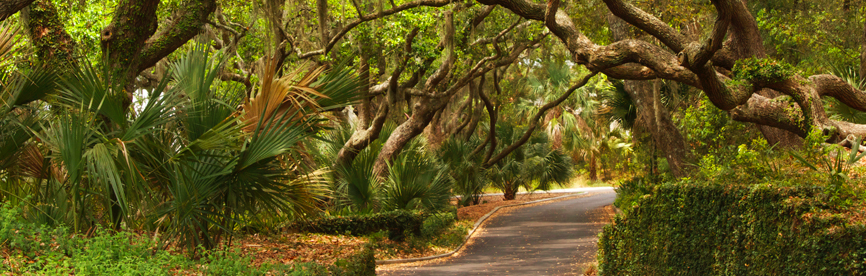 The Wedding Website of Sandra Mannella and Ryan Lewis