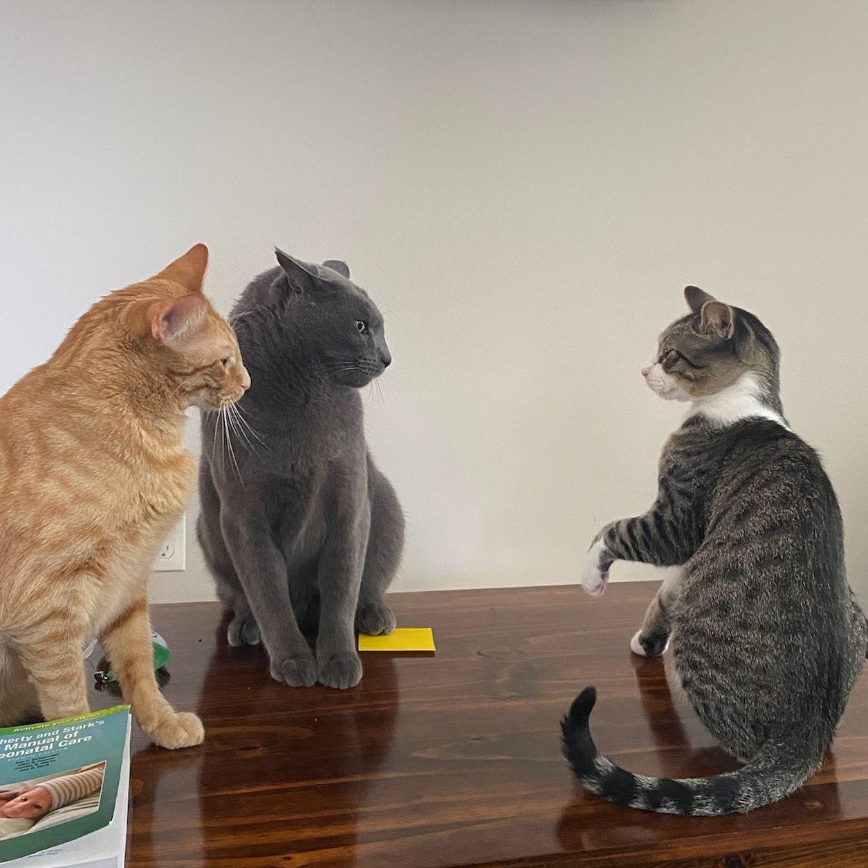 Brothers being brothers.