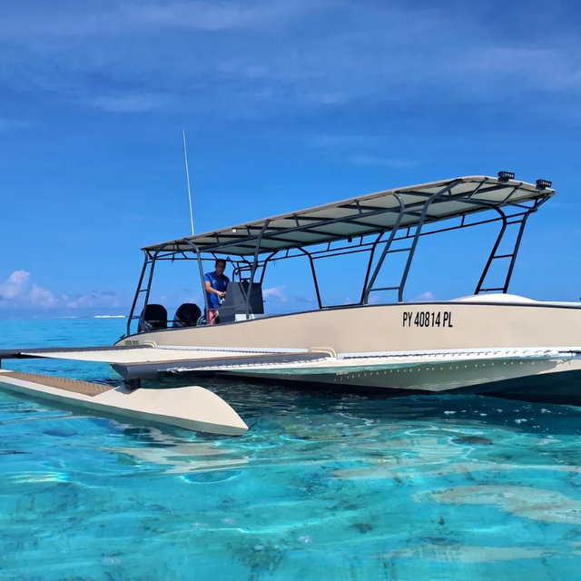 Private Boat Tour