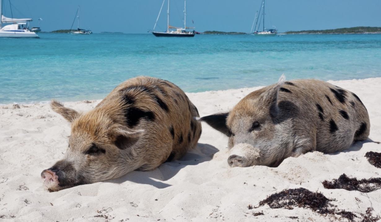 The Wedding Website of Jenny Caraballo and Garrett Stonecipher