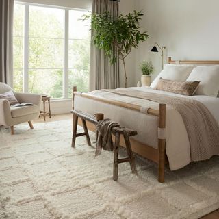 Cassian Contemporary Area Rug