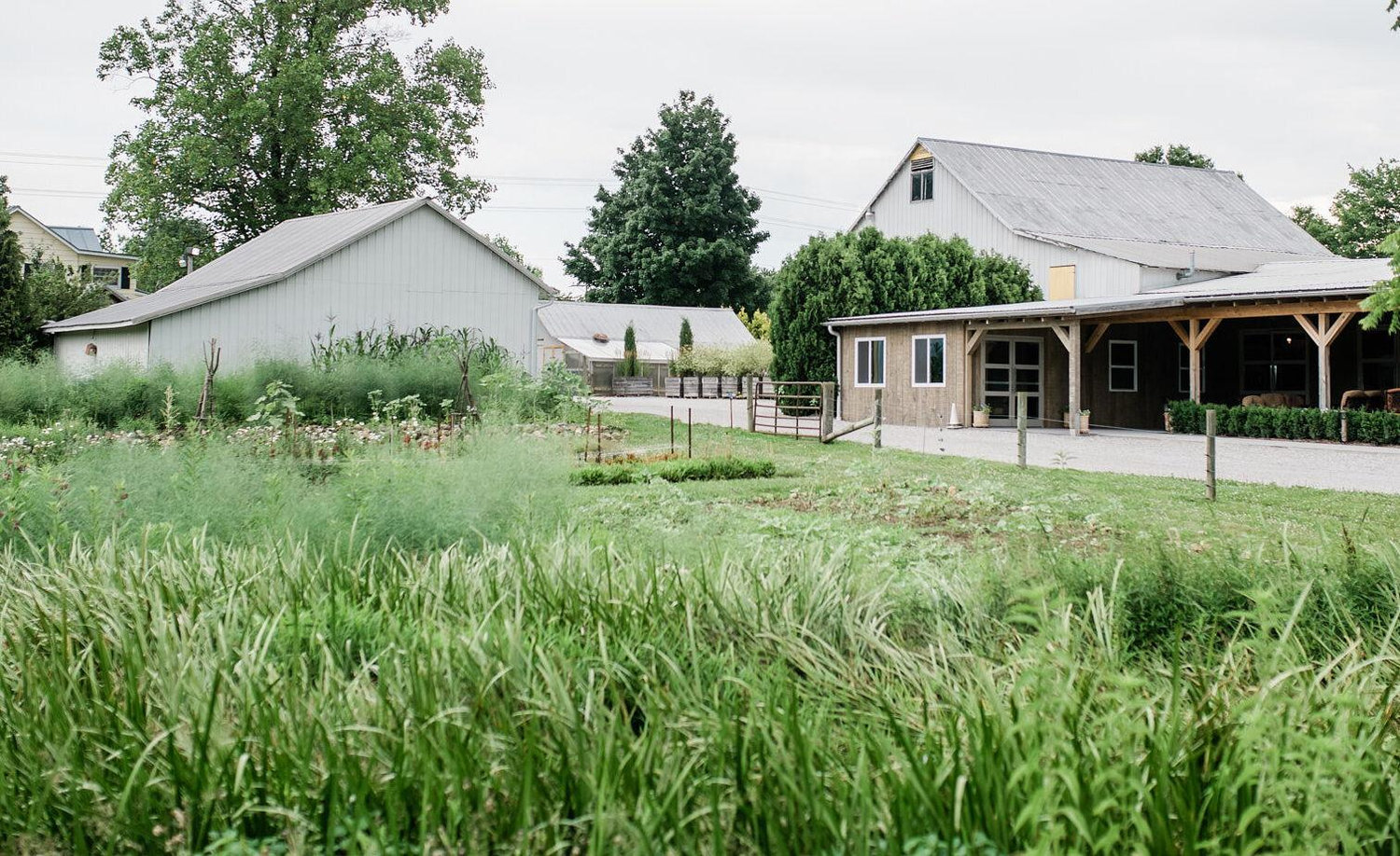 The Wedding Website of Haylie Reichenbach and Myron Goldsmith