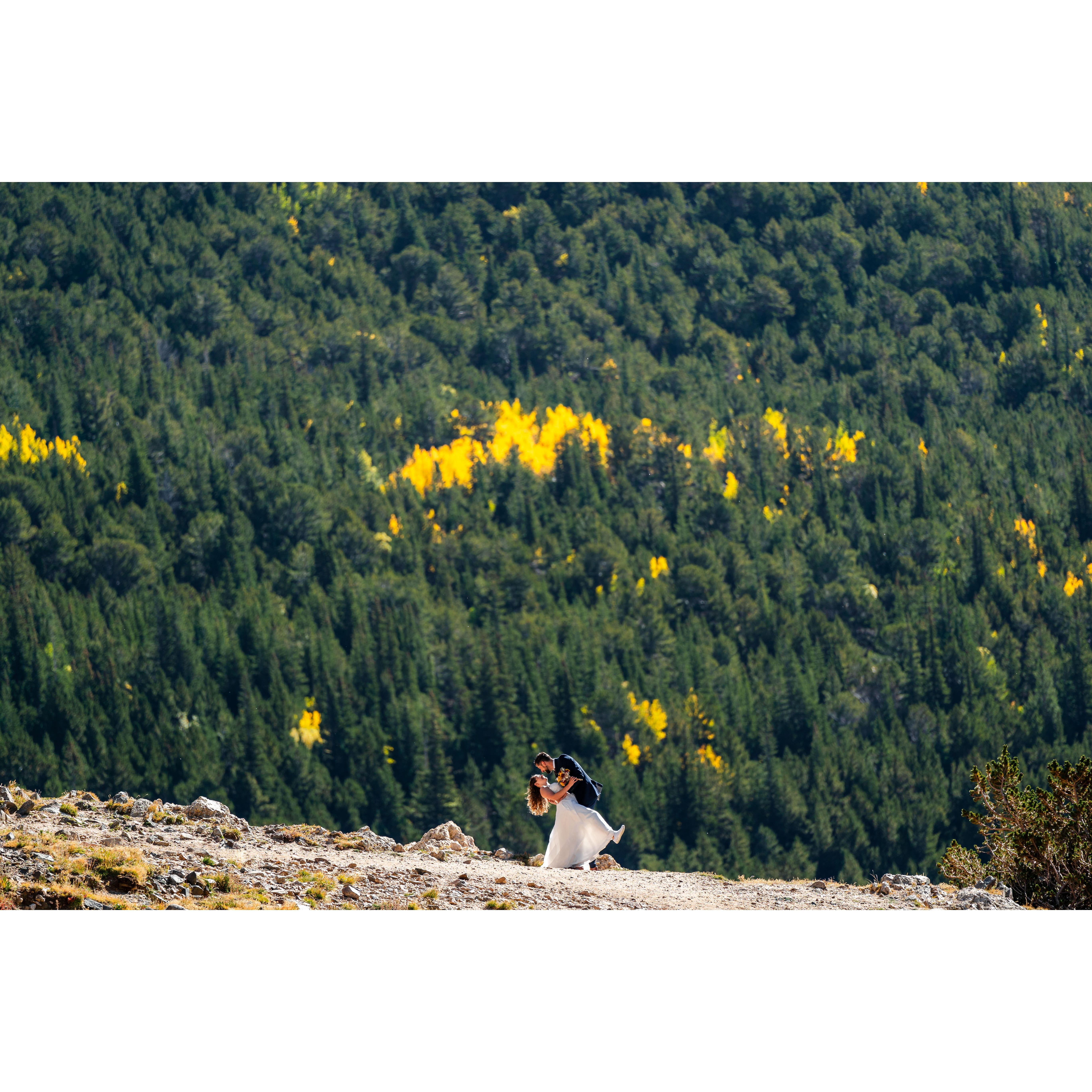 We may have caught the first blizzard of the season, but we also caught the aspens in all their glory.