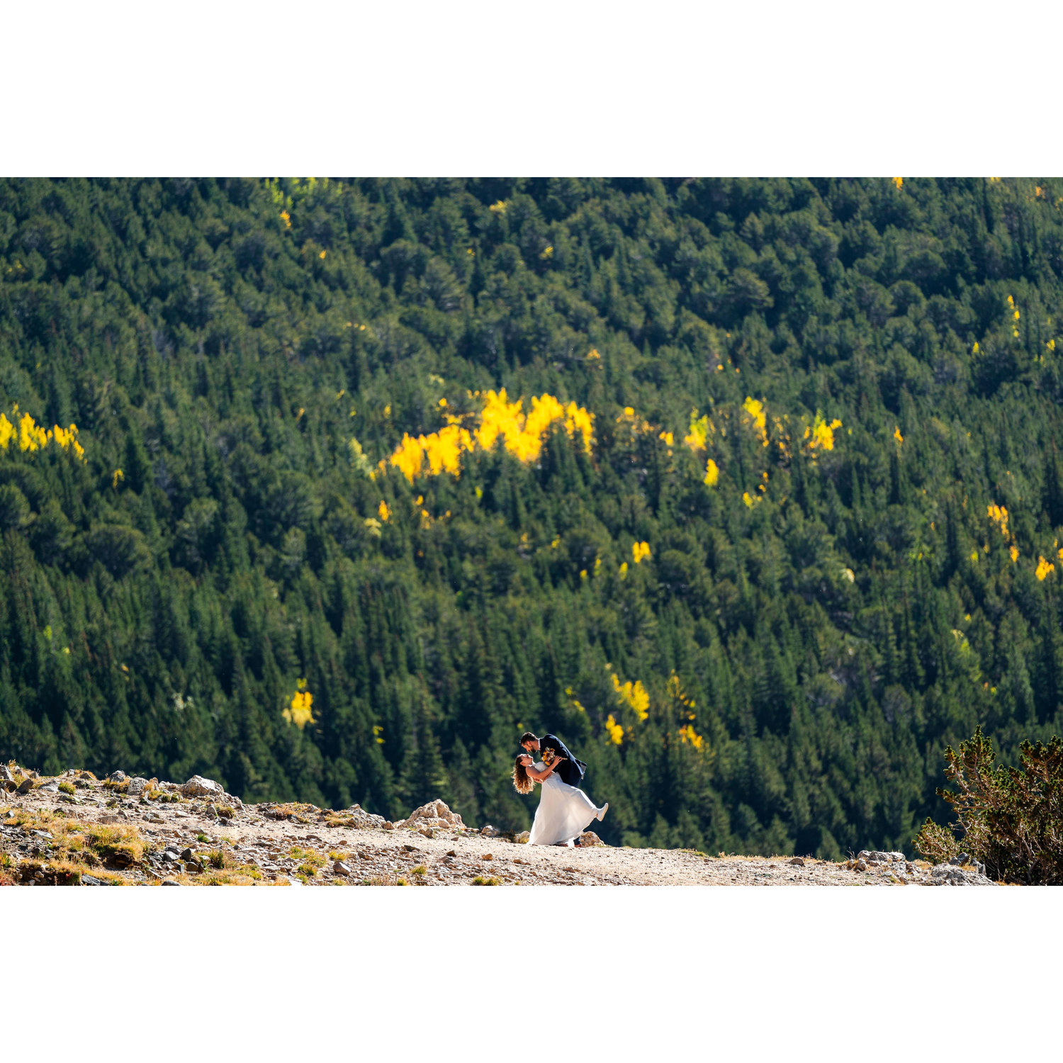 We may have caught the first blizzard of the season, but we also caught the aspens in all their glory.
