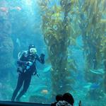 Birch Aquarium at Scripps Institution of Oceanography
