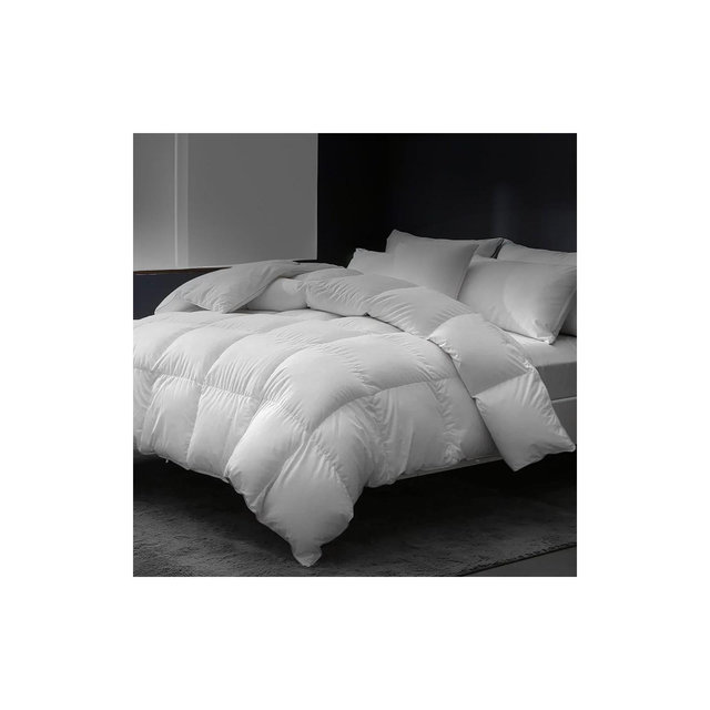 East Coast Bedding Cozy Dream 15% Goose Down and 85% Feather White Comforter - Queen Size