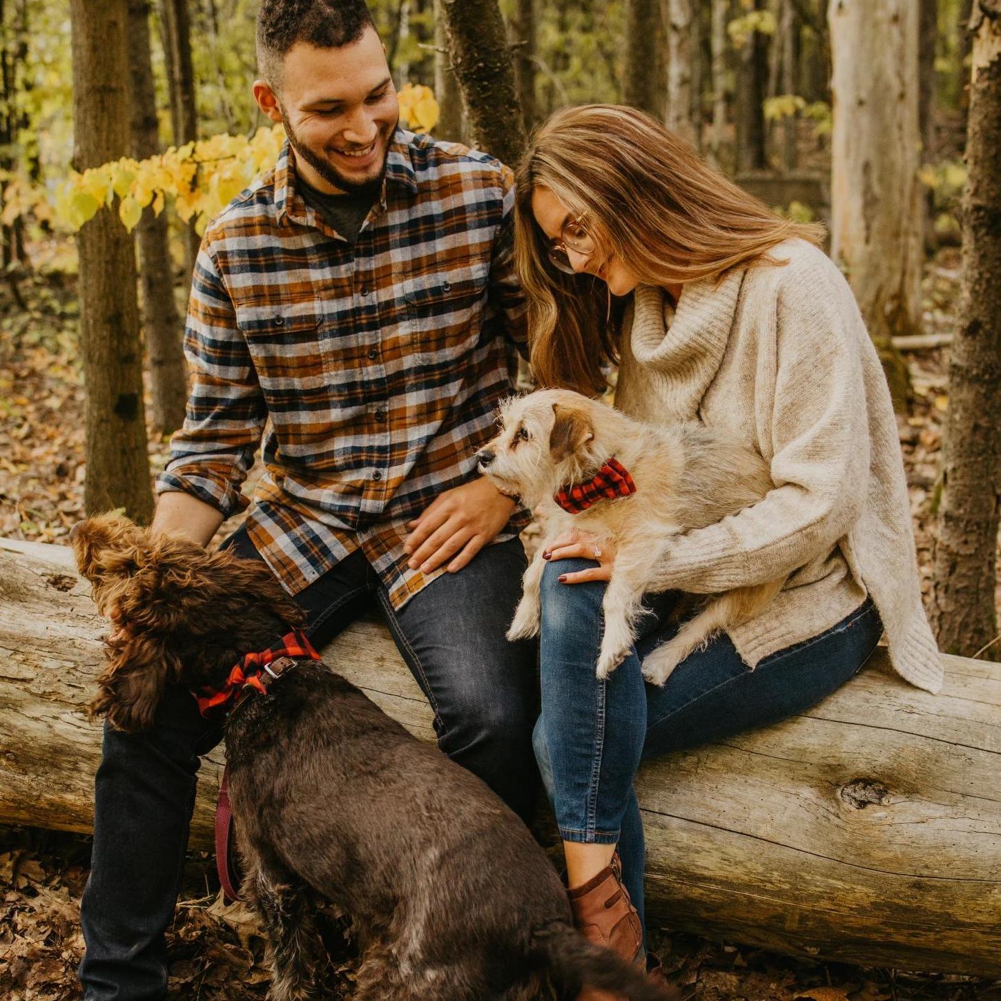 Of course the dogs were invited to the engagement photoshoots