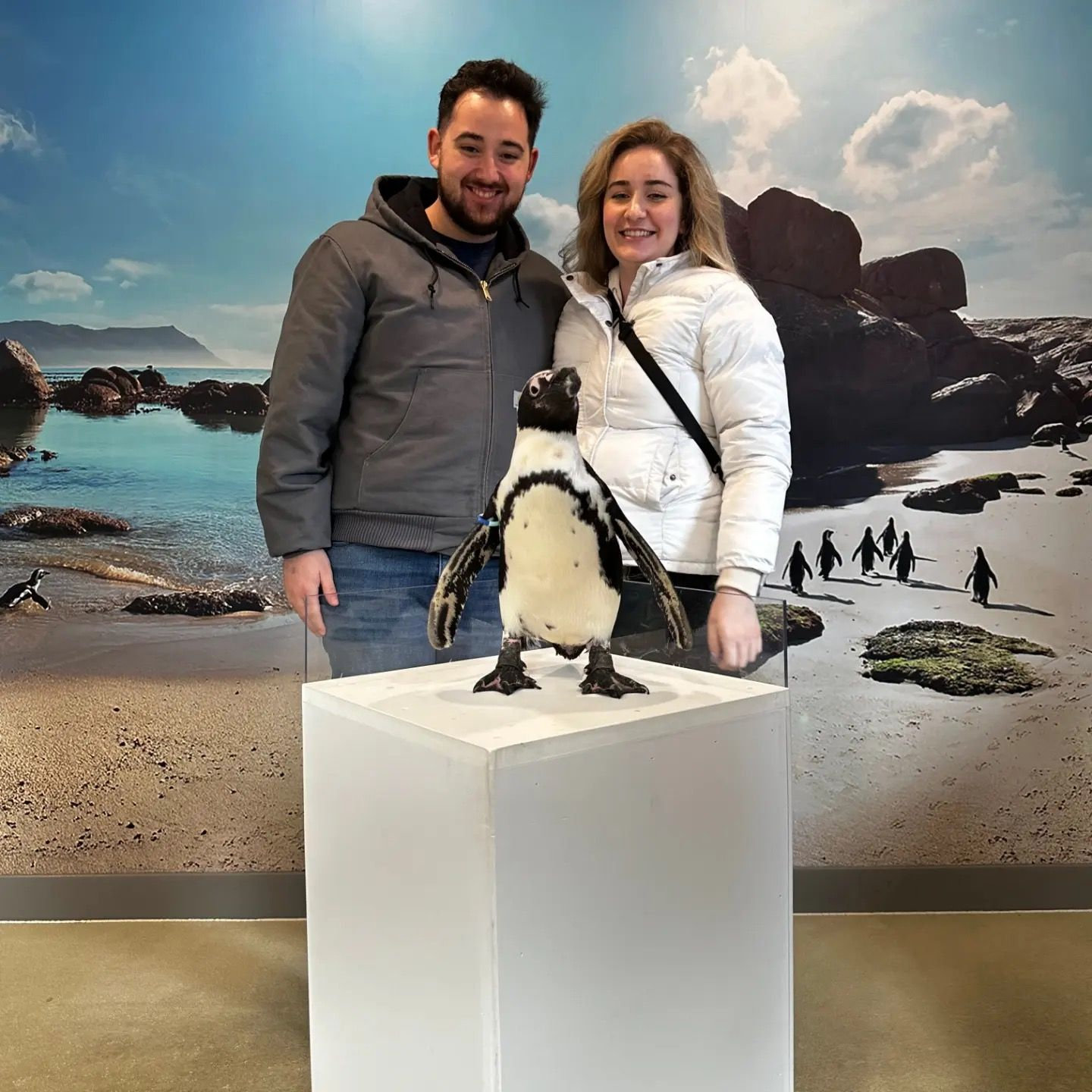 Penguin encounter at LI Aquarium. Land of Jack's birth!