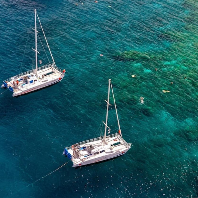 Snorkeling Excursion in Hawaii