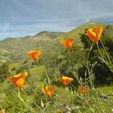 Lovers Loop Trailhead - Figueroa Mountain