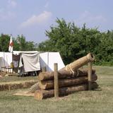 Mayfield and Cannon Branch Forts