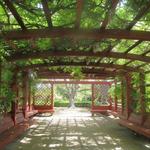 Fullerton Arboretum