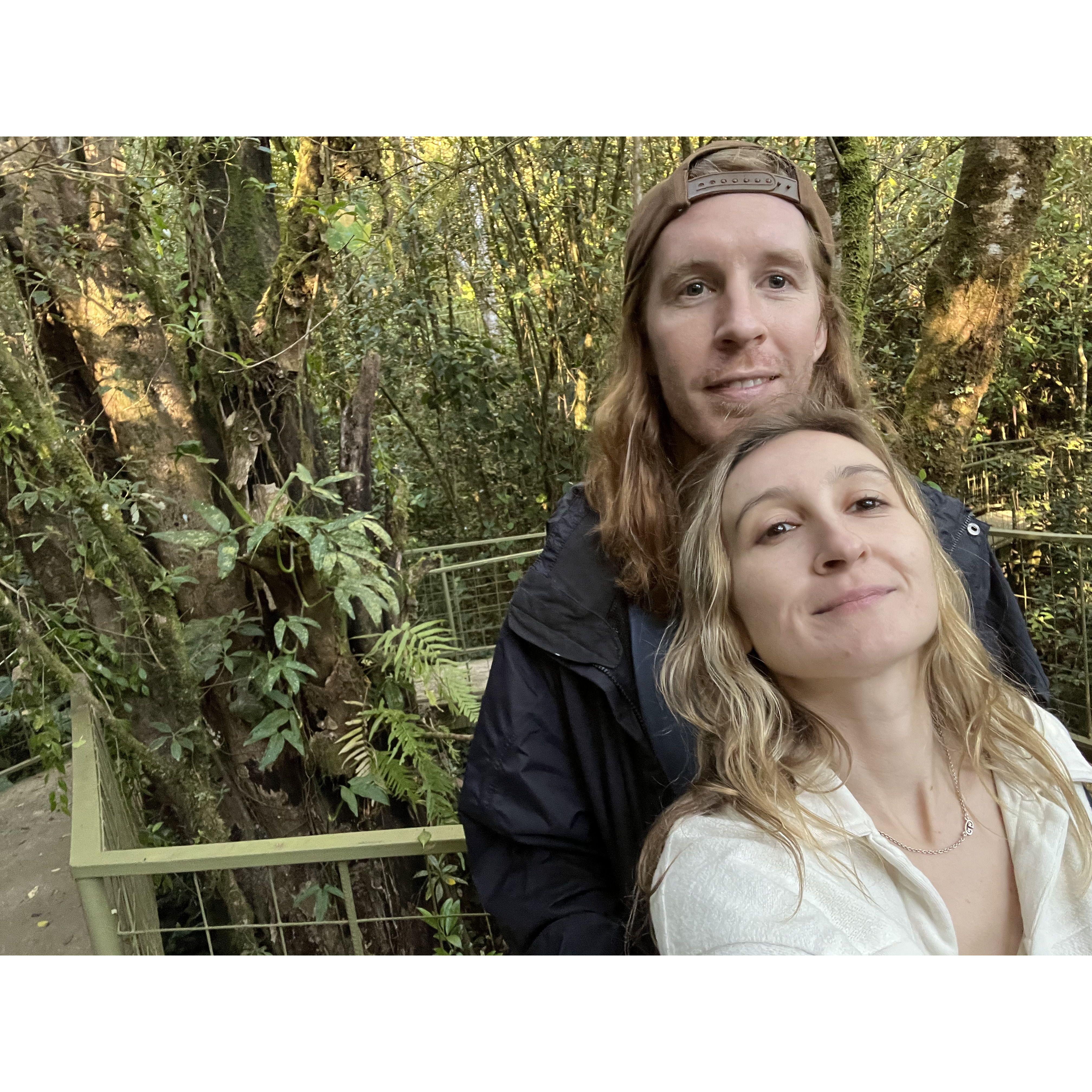 Treehouses in Costa Rica!