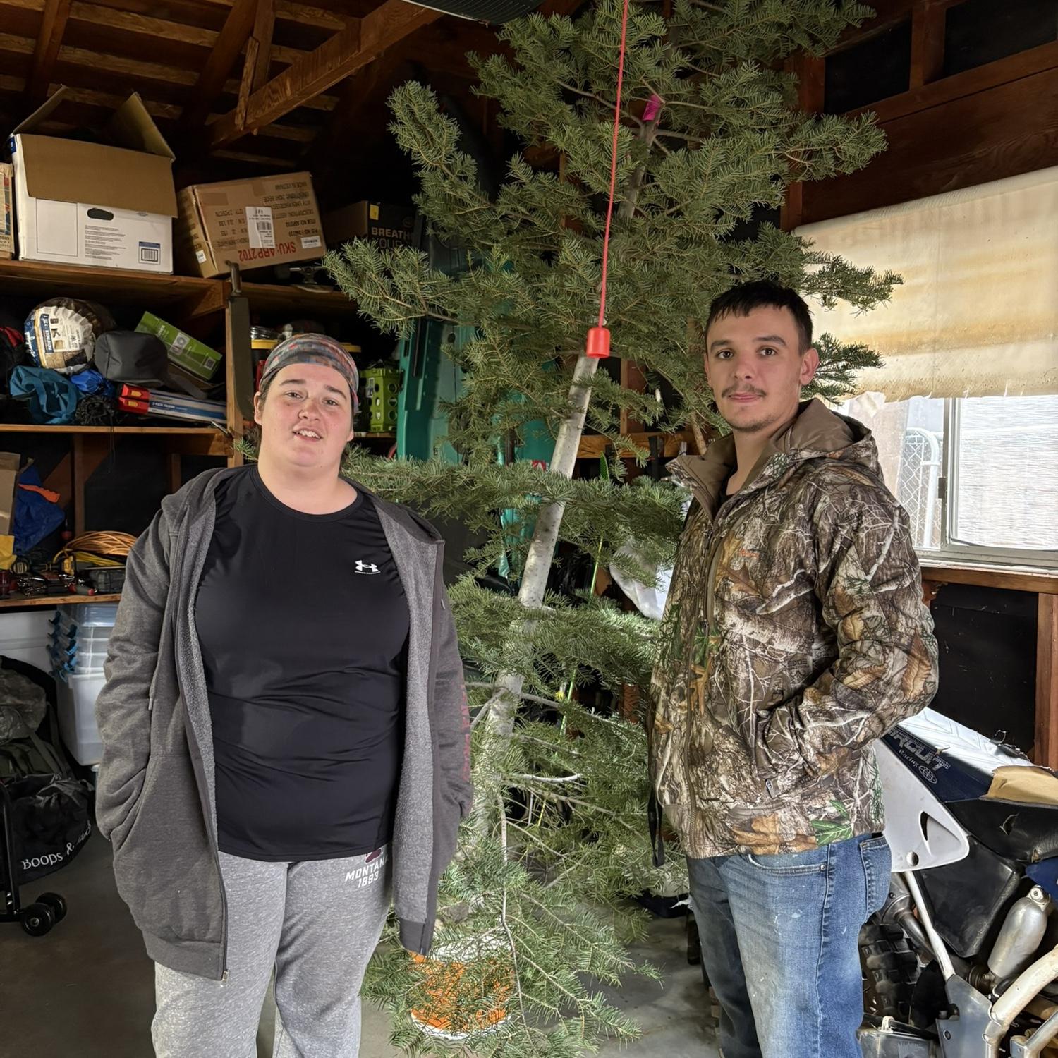 Our first live Christmas tree