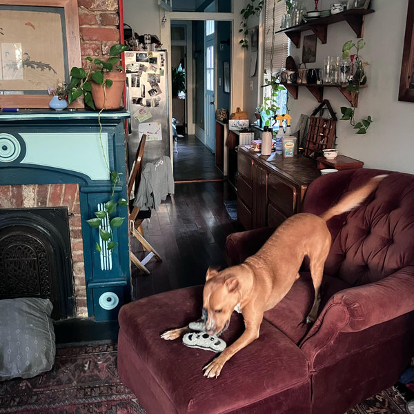 Help us furnish said house!