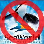 Thanks but No Tanks!