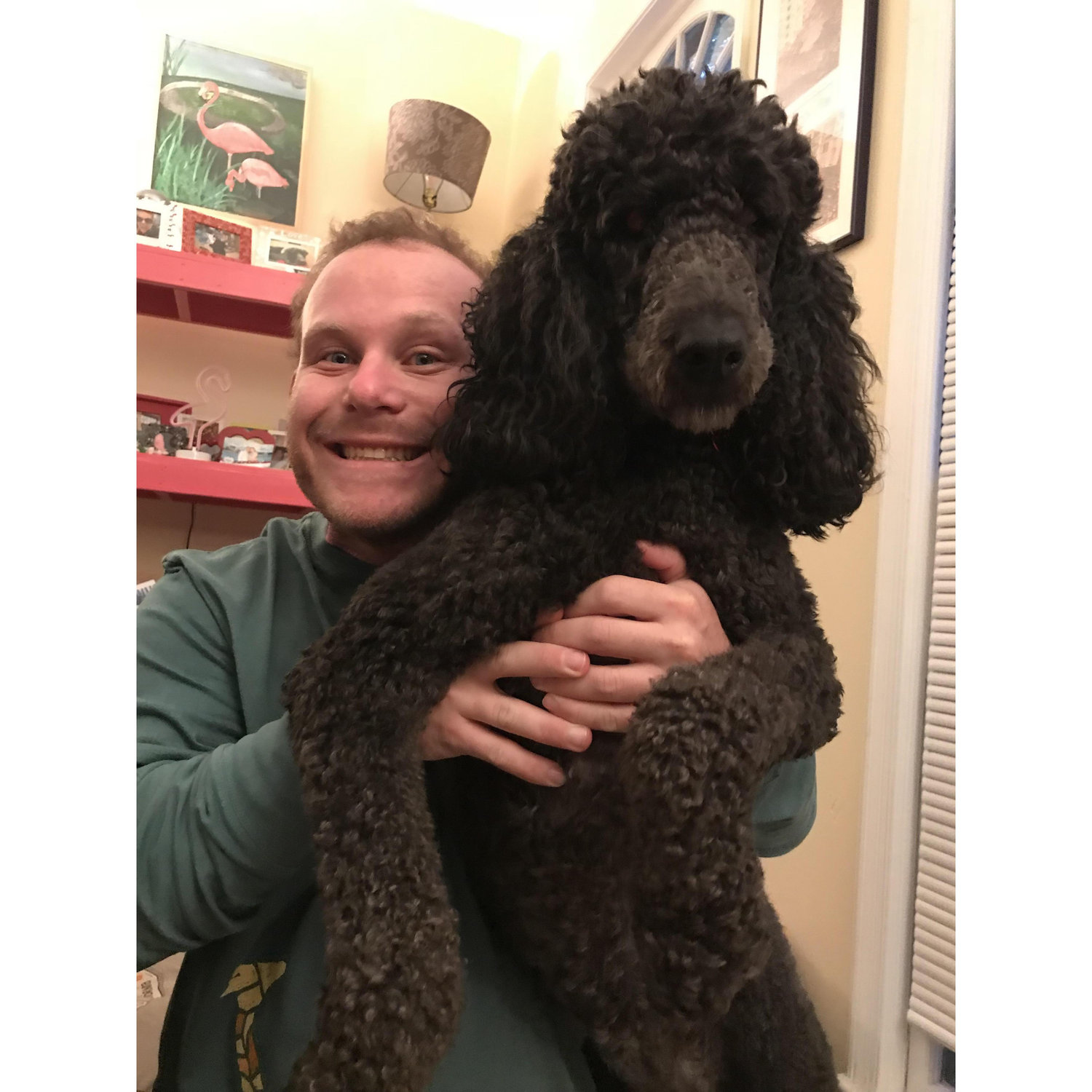 Skye pie loves her new Daddy.