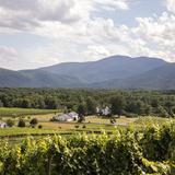 Veritas Vineyards and Winery