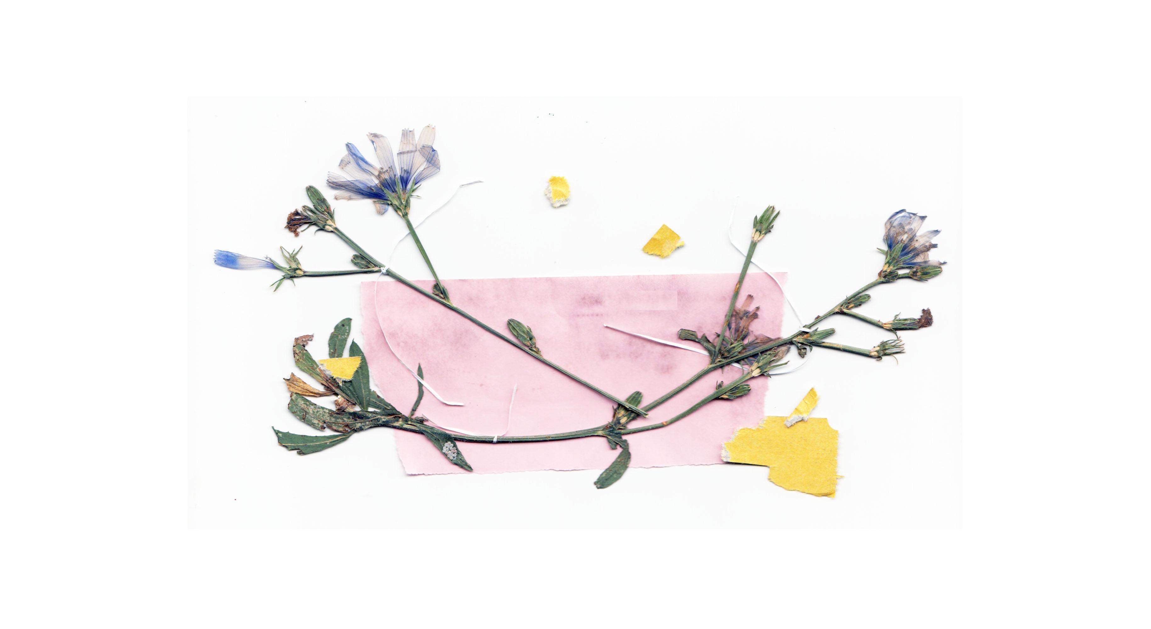 Footer image