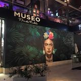 Museo Frida Kahlo Playa Del Carmen
