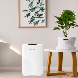 AC5600WDLX HEPA Air Purifier with Ionizer & Odor Reduction