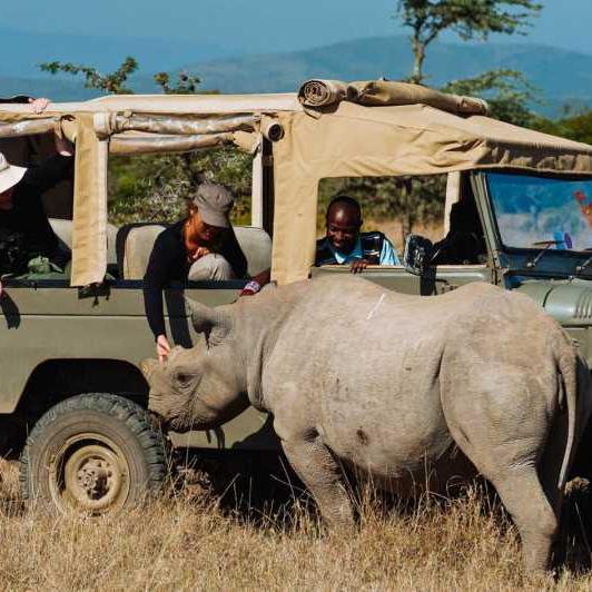 Day safari to Olpejeta Rhino and Chimpanzee conservancy