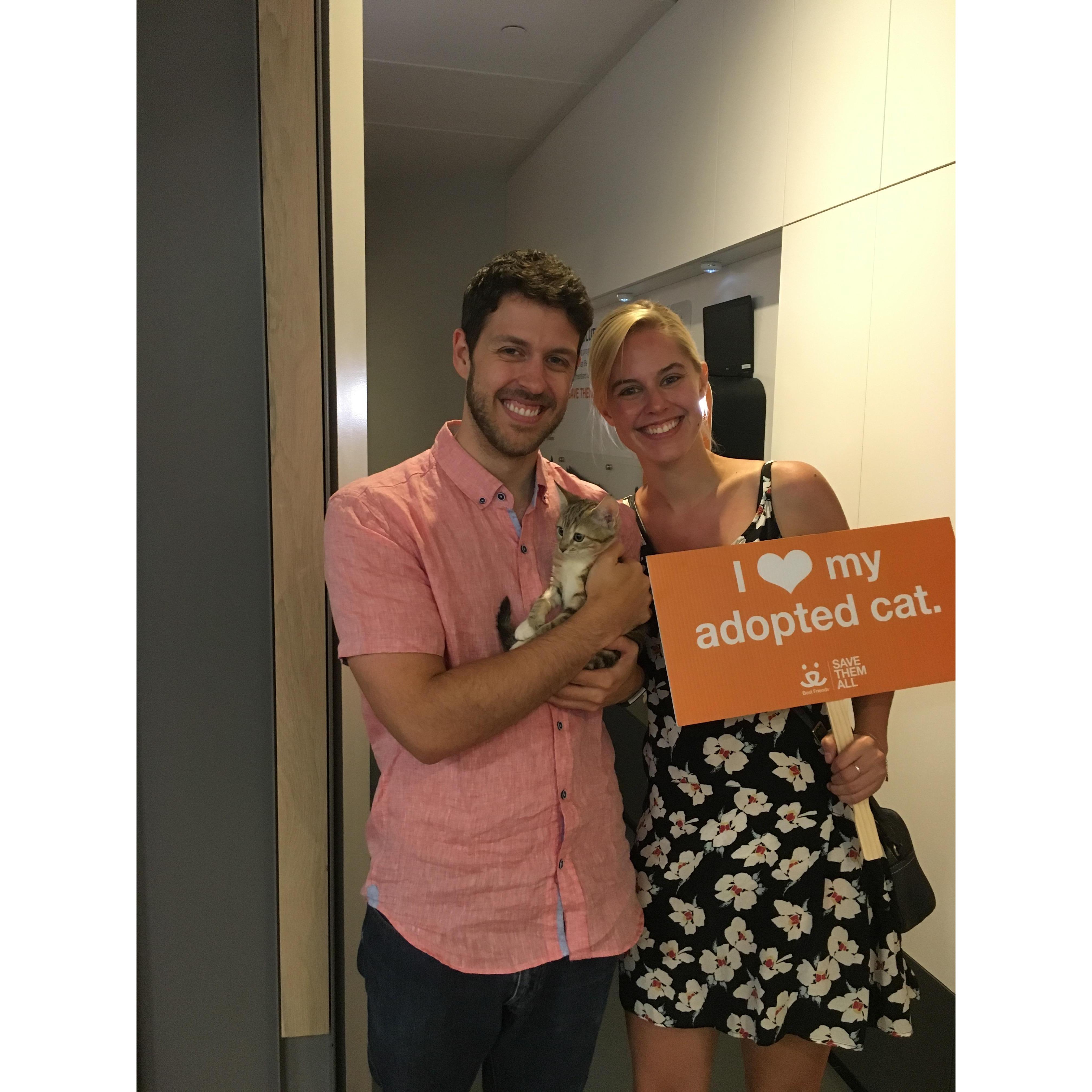 Adopting Miss B from Best Friends in NYC! July 2018