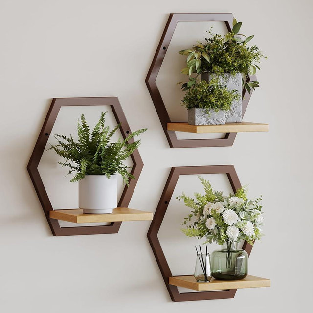 Rioneta 3 Packs Wall Plant Stands Indoor,Metal Wall Mounted Shelf with Soild Wood Display Ledge, Modern Decorative Floating Shelves 25 LB Load for Plants, Bedroom Living Room Bathroom Decor (coffee)
