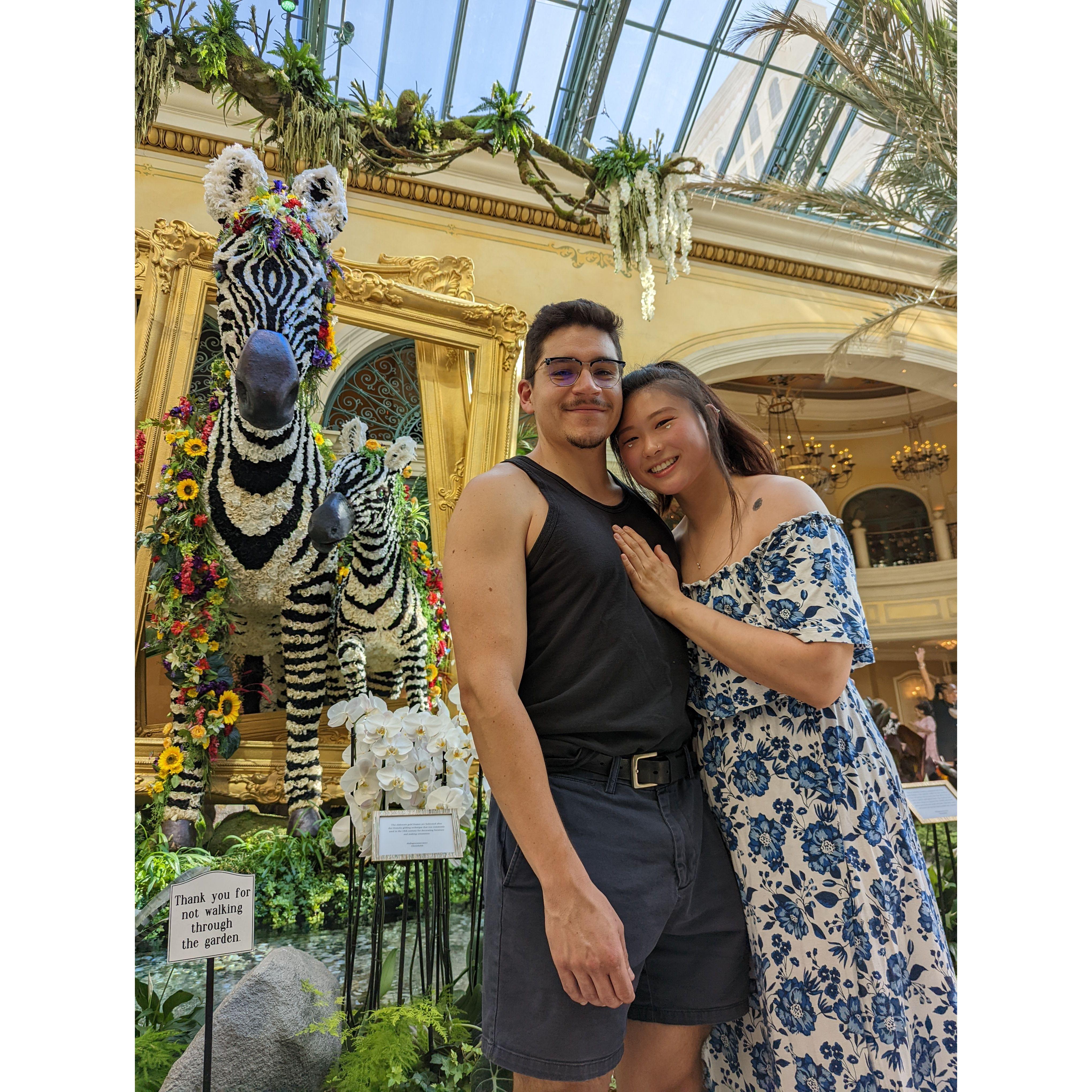 Viva Las Vegas (Bellagio Conservatory & Botanical Garden)