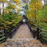Seven Bridges Trail