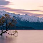 Lake Wānaka