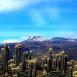 Los Nevados National Park