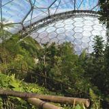 The Eden Project
