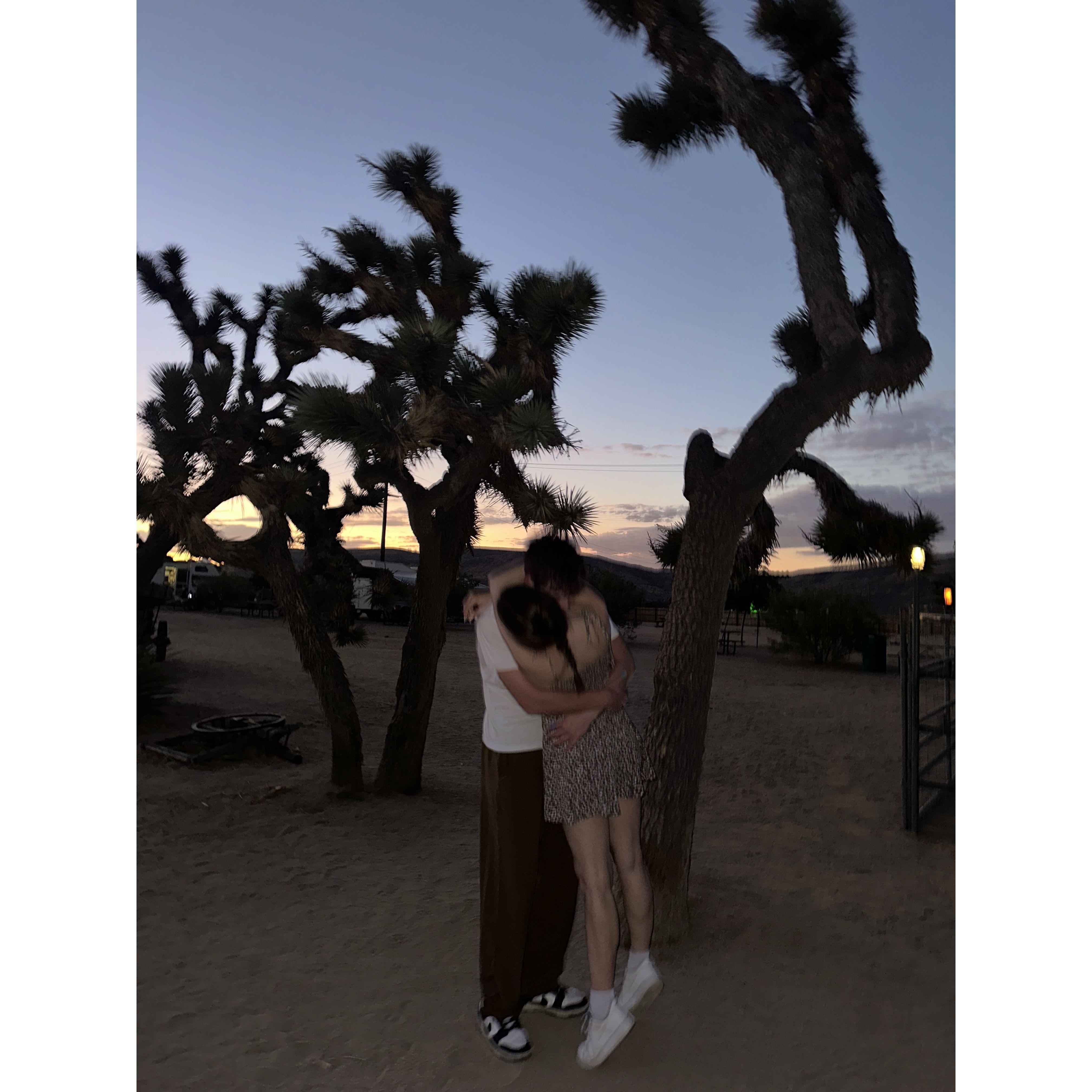 September 2024- Joshua Tree, California