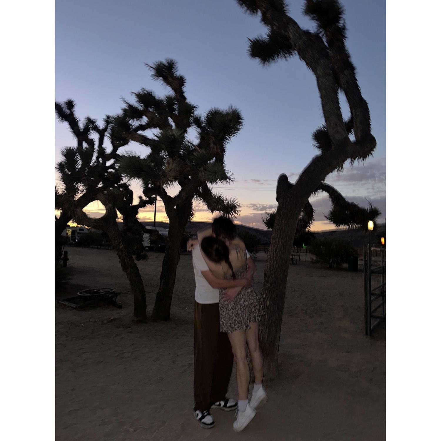 September 2024- Joshua Tree, California