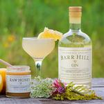 Barr Hill by Caledonia Spirits