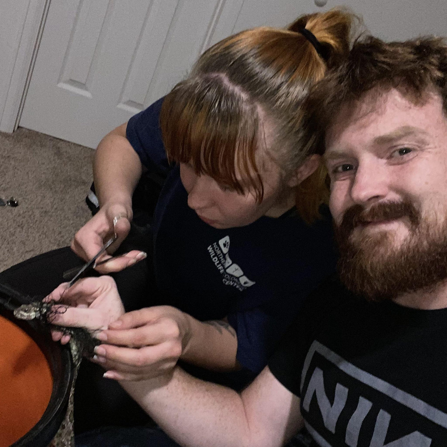 Late night rattlesnake rescue in our apartment.