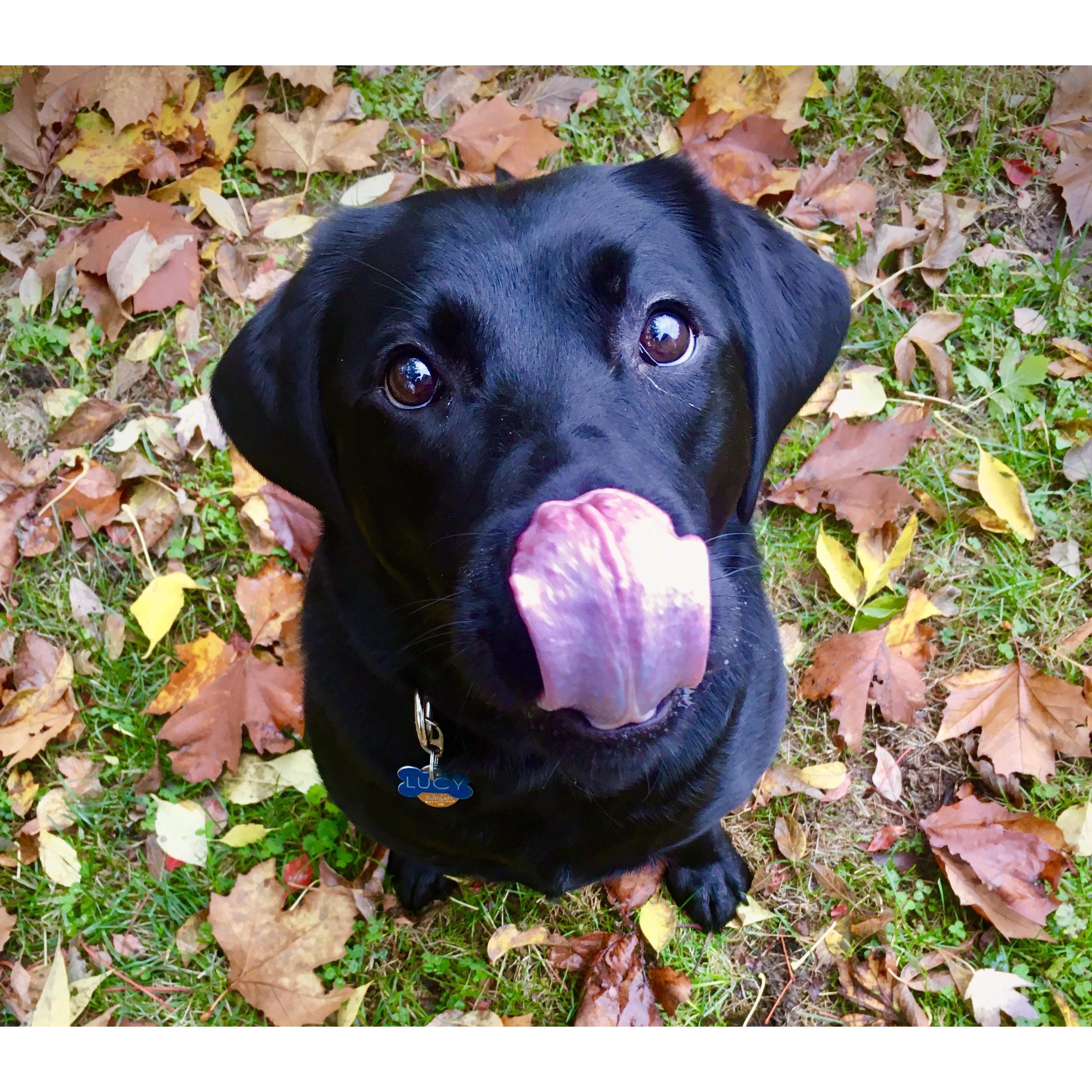 And of course, our Pup Lucy Goose