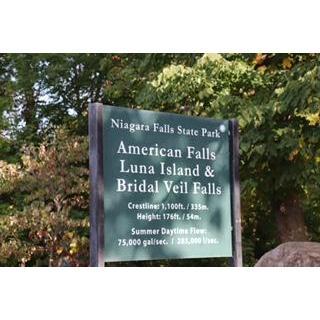 Where he Proposed!