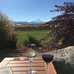 Food & Drink Tours