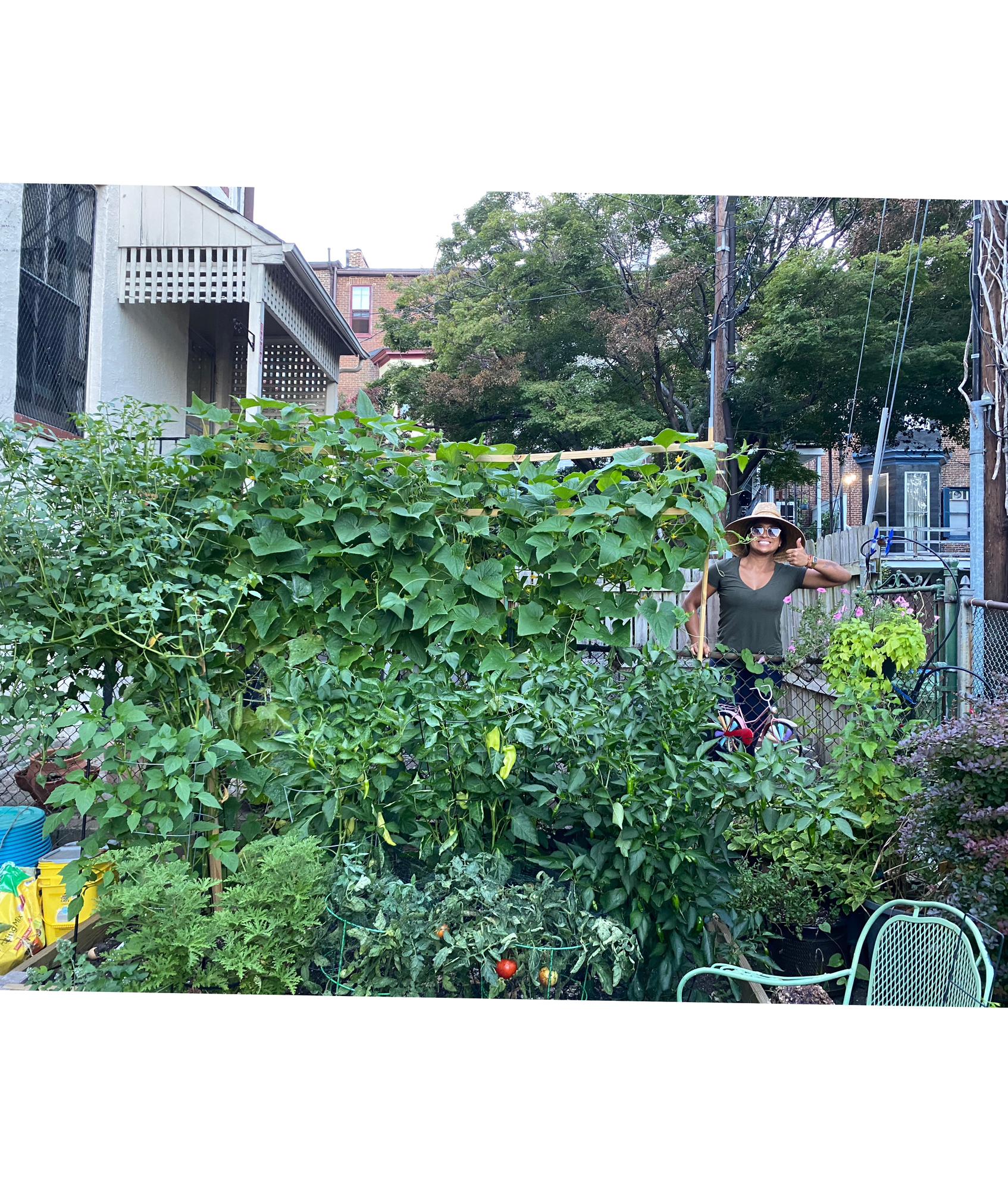 Our summer 2022 backyard veggie garden