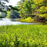 Androscoggin Riverlands State Park