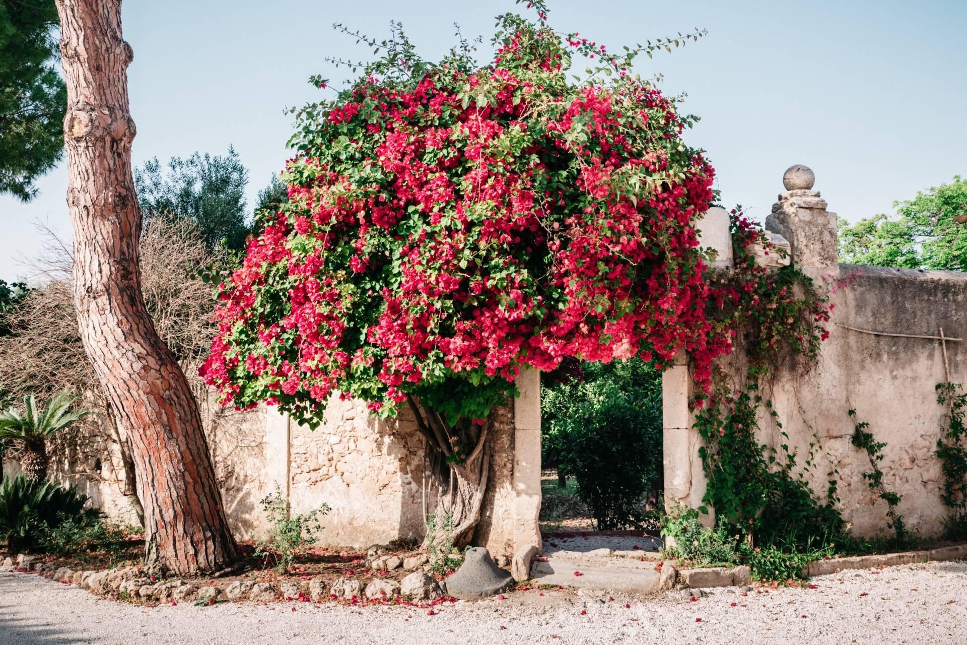 049932d8-0439-404e-a512-c3c2f87c1745