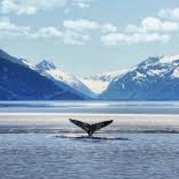 Alaska Cruise