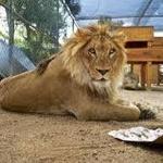 The Teaching Zoo at Moorpark College