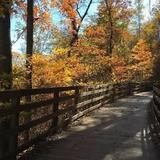 Saunders-Monticello Trail