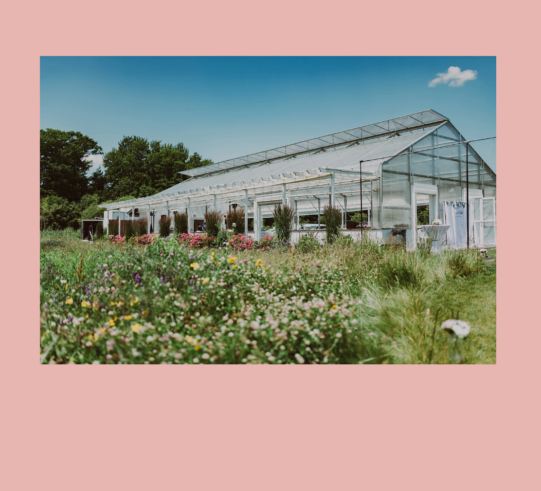 The Wedding Website of Amanda Fisher and Ryan Stevens