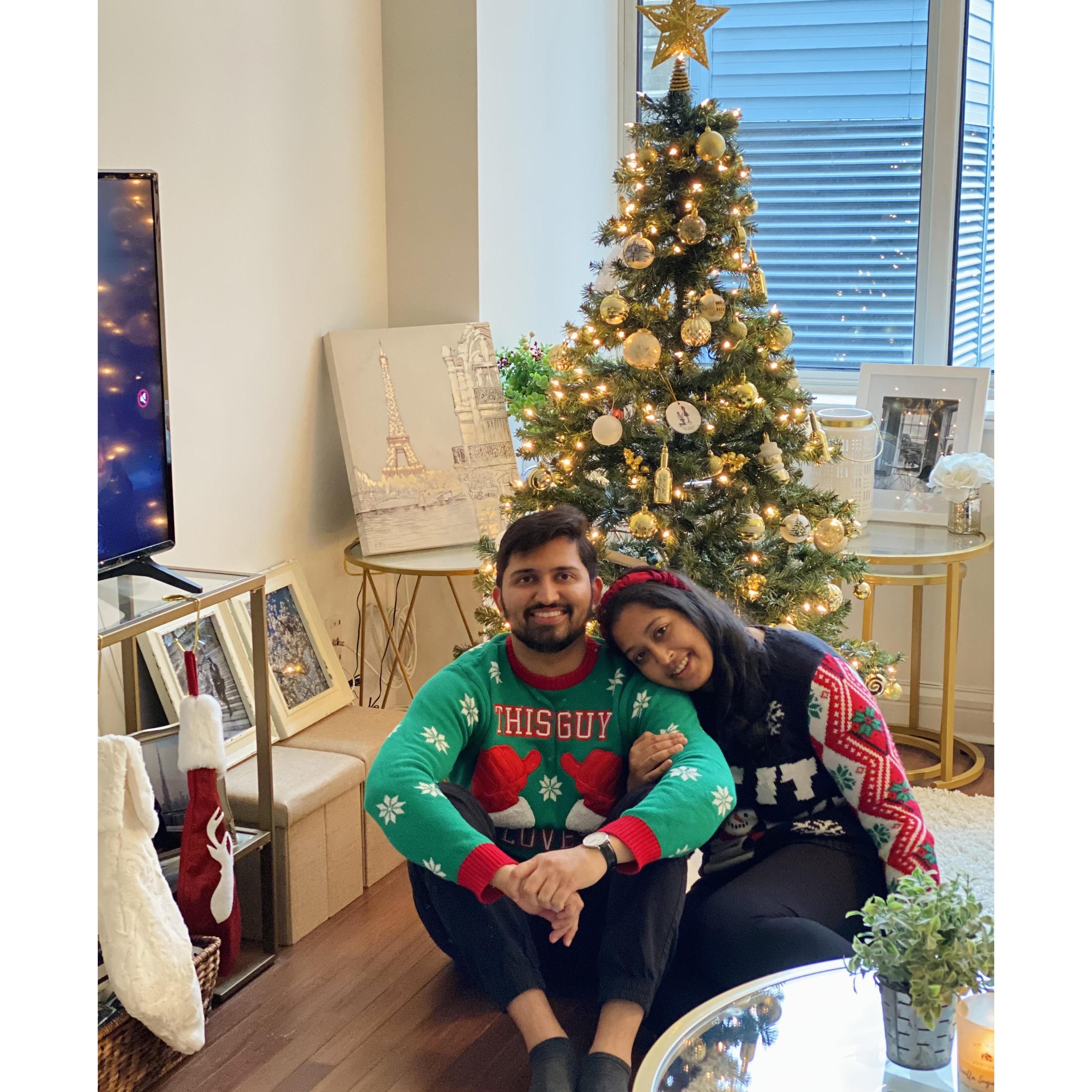 Christmas 2020 in our NYC home.