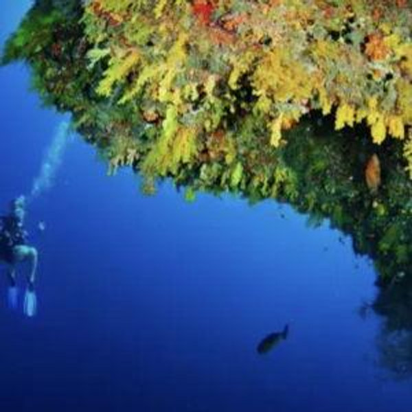 Maldives Snorkeling Experience